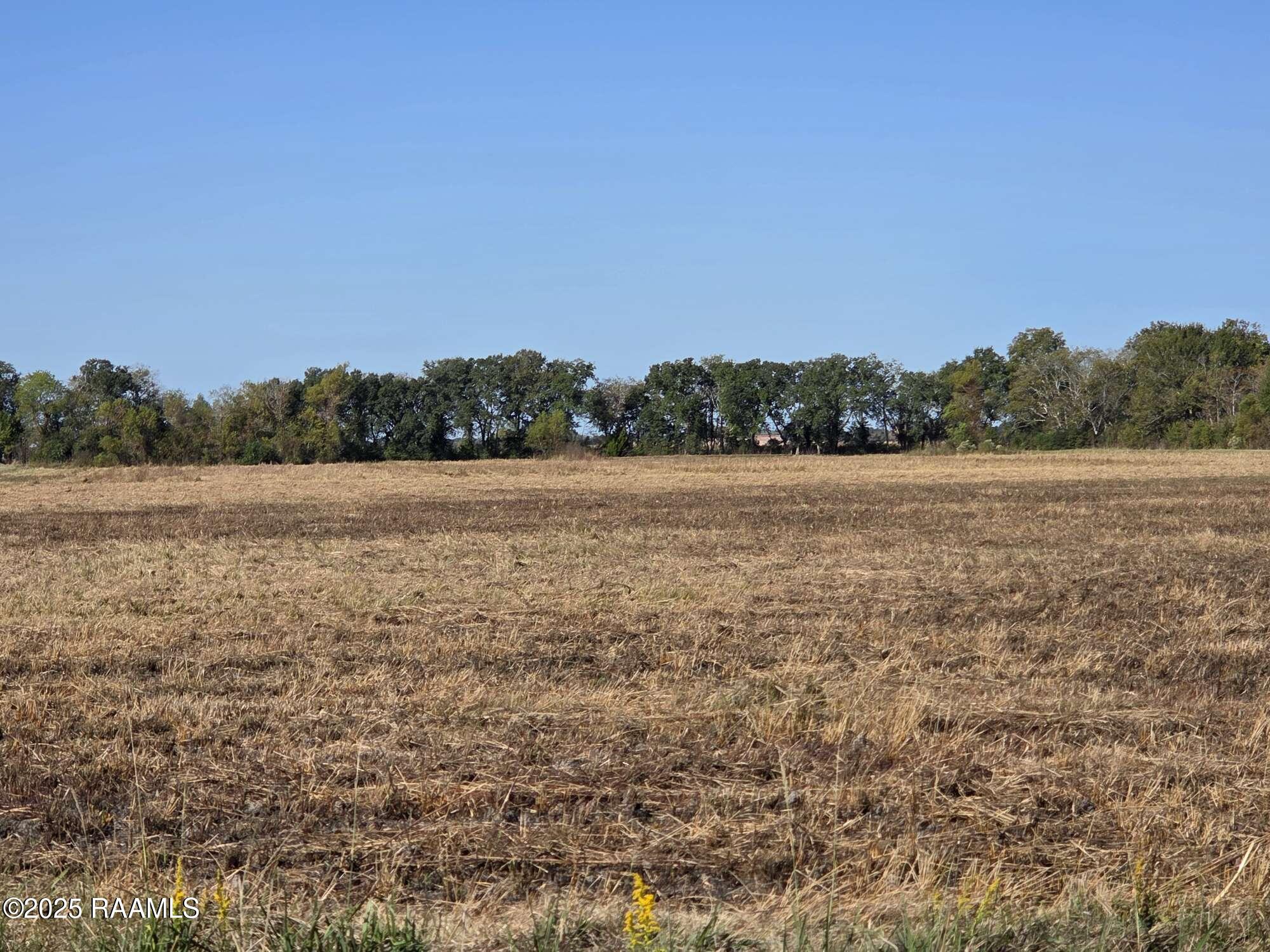 900 Killdee Lane Duson, LA 70529 - Photo 7 of 18 Compress_20251112_192940_0906