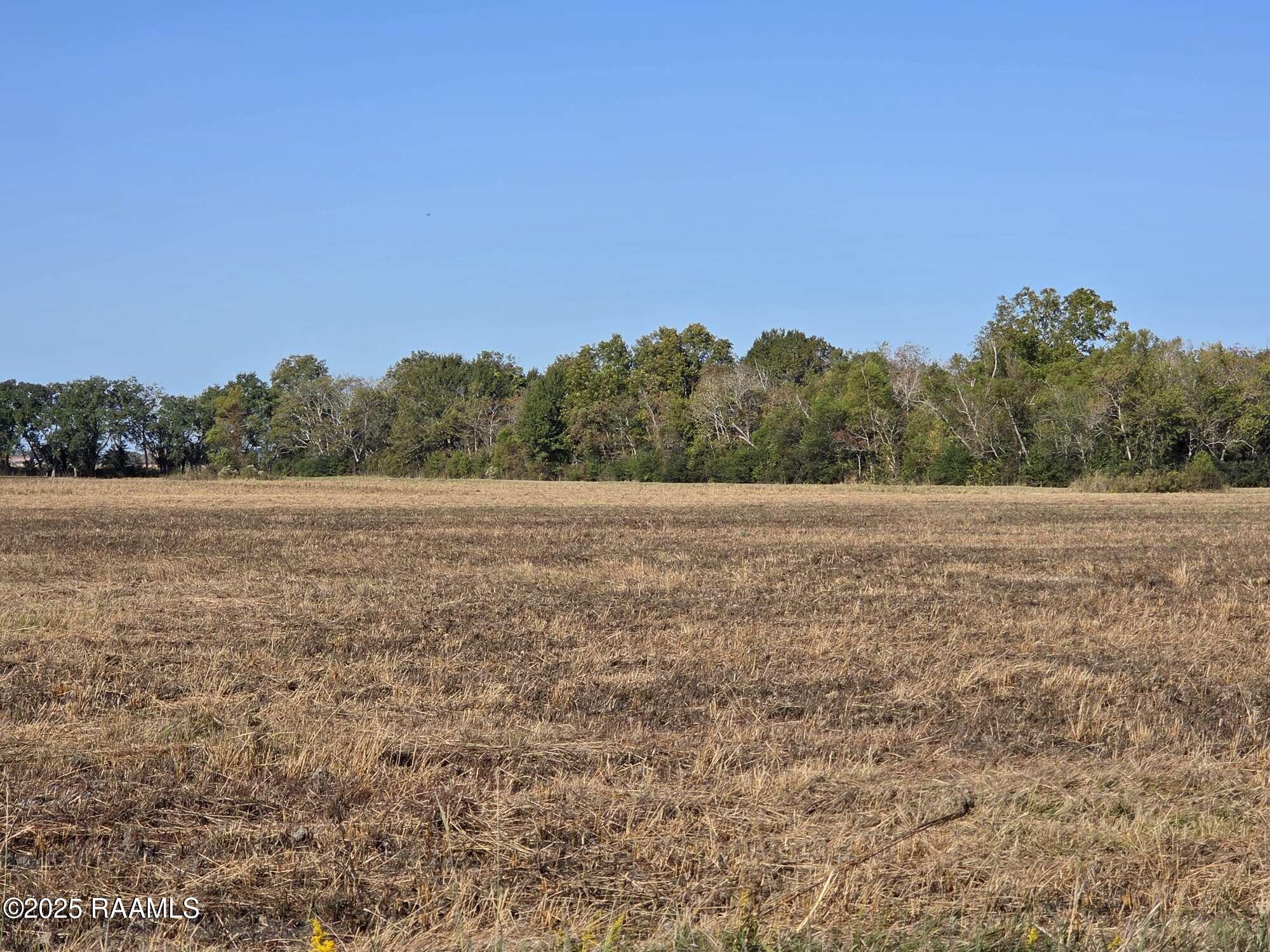 900 Killdee Lane Duson, LA 70529 - Photo 8 of 18 Compress_20251112_192940_0985