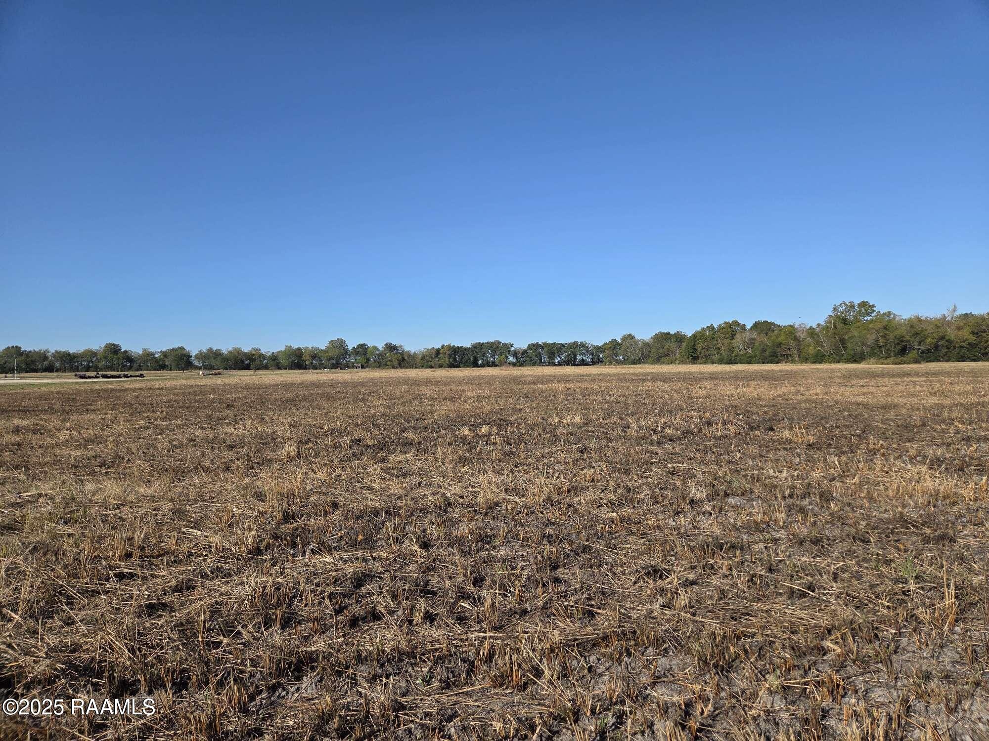 900 Killdee Lane Duson, LA 70529 - Photo 9 of 18 Compress_20251112_192941_1169