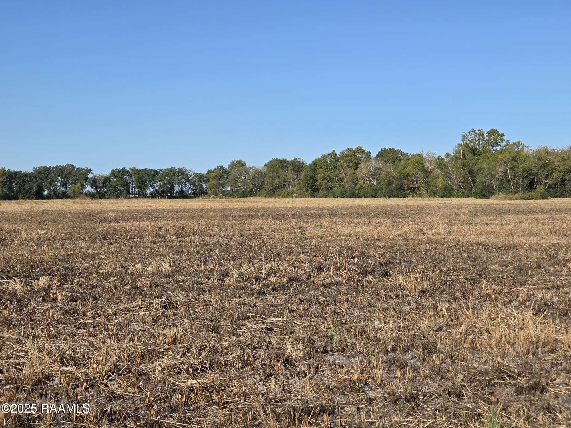 900 Killdee Lane Duson, LA 70529 - Photo 10 of 18 Compress_20251112_192941_1328