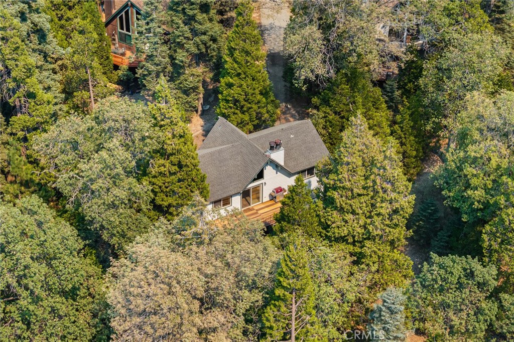 175 Golf Course Road Lake Arrowhead, CA 92352 - Photo 27 of 73 Picture perfect with the best view!