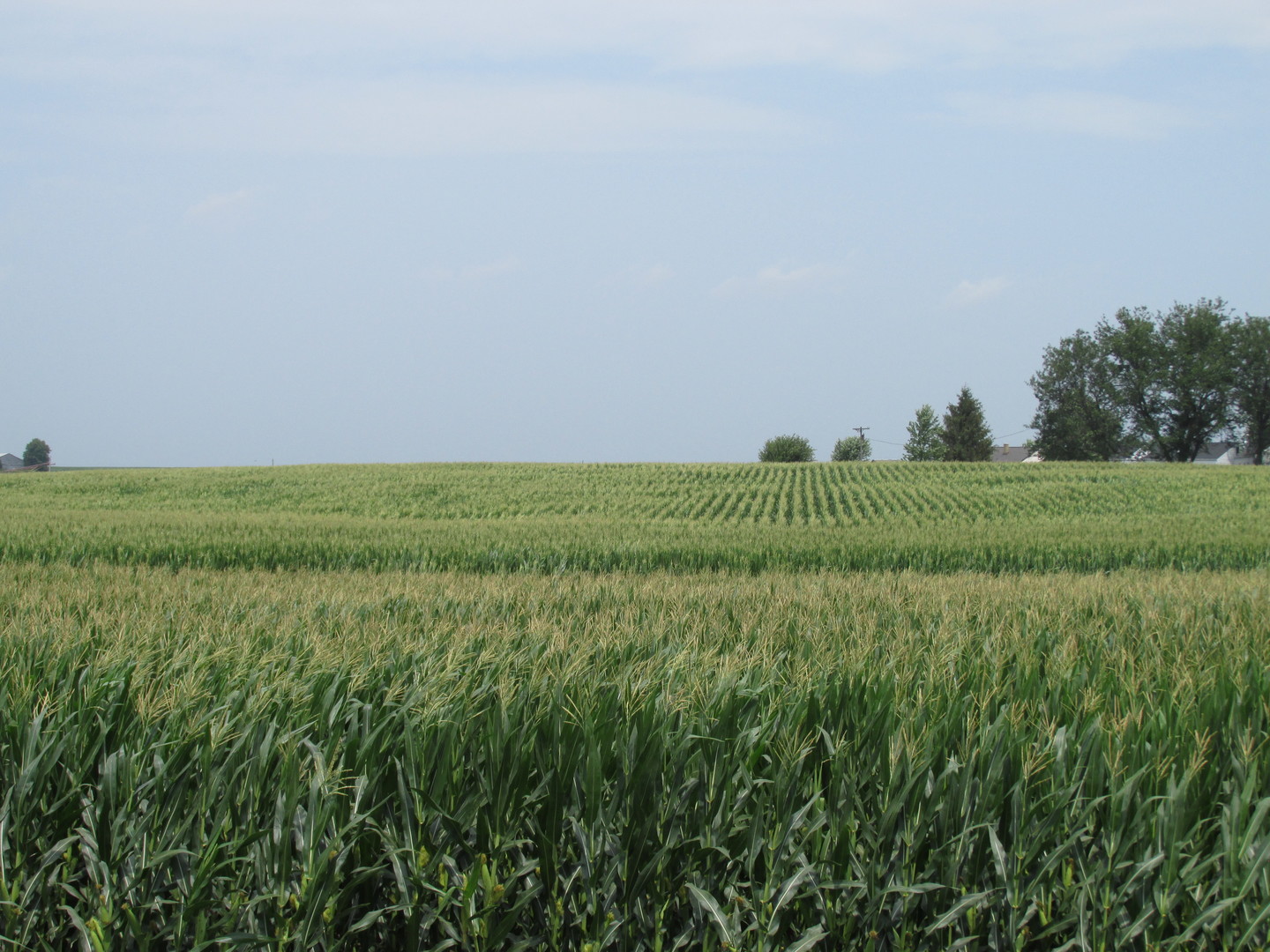 0 Sugar Grove Road Dixon, IL 61021 - Photo 1 of 15 a view of a field with an ocean space