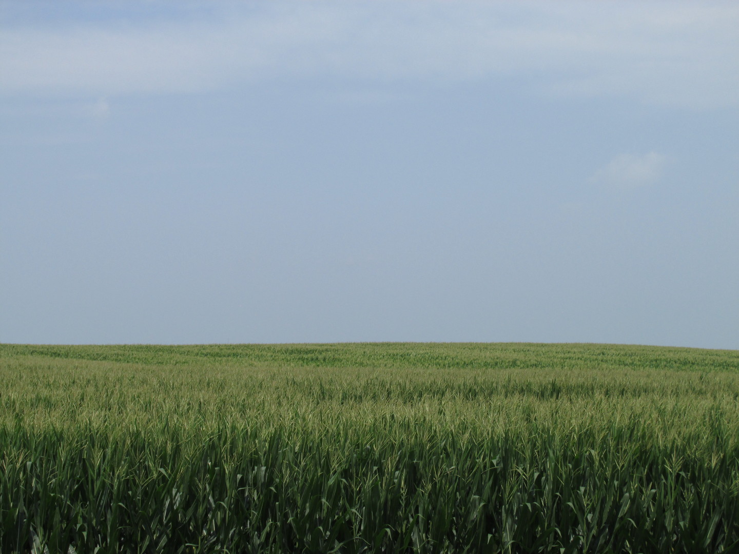 0 Sugar Grove Road Dixon, IL 61021 - Photo 2 of 15 a view of grassy field with trees