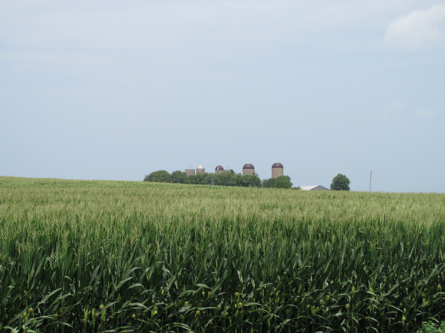 0 Sugar Grove Road Dixon, IL 61021 - Photo 3 of 15 a view of a green field with clear sky