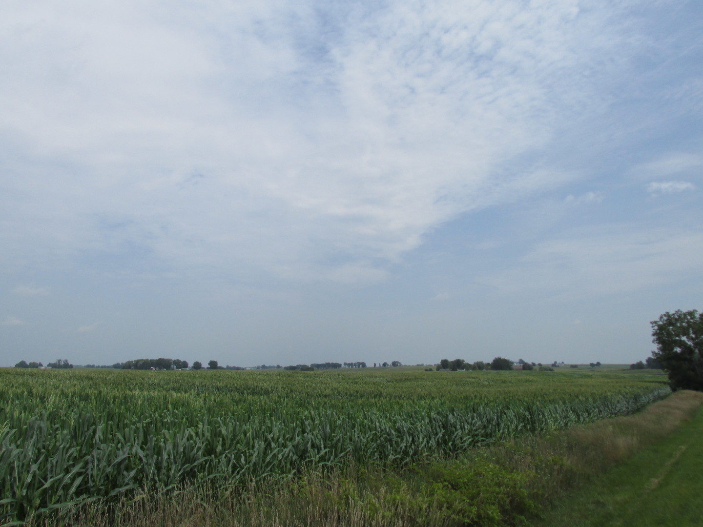 0 Sugar Grove Road Dixon, IL 61021 - Photo 5 of 15 a view of a green field with lots of green space