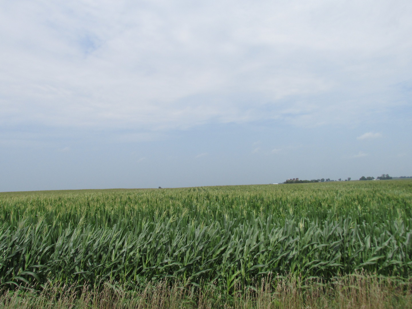 0 Sugar Grove Road Dixon, IL 61021 - Photo 6 of 15 a view of a field