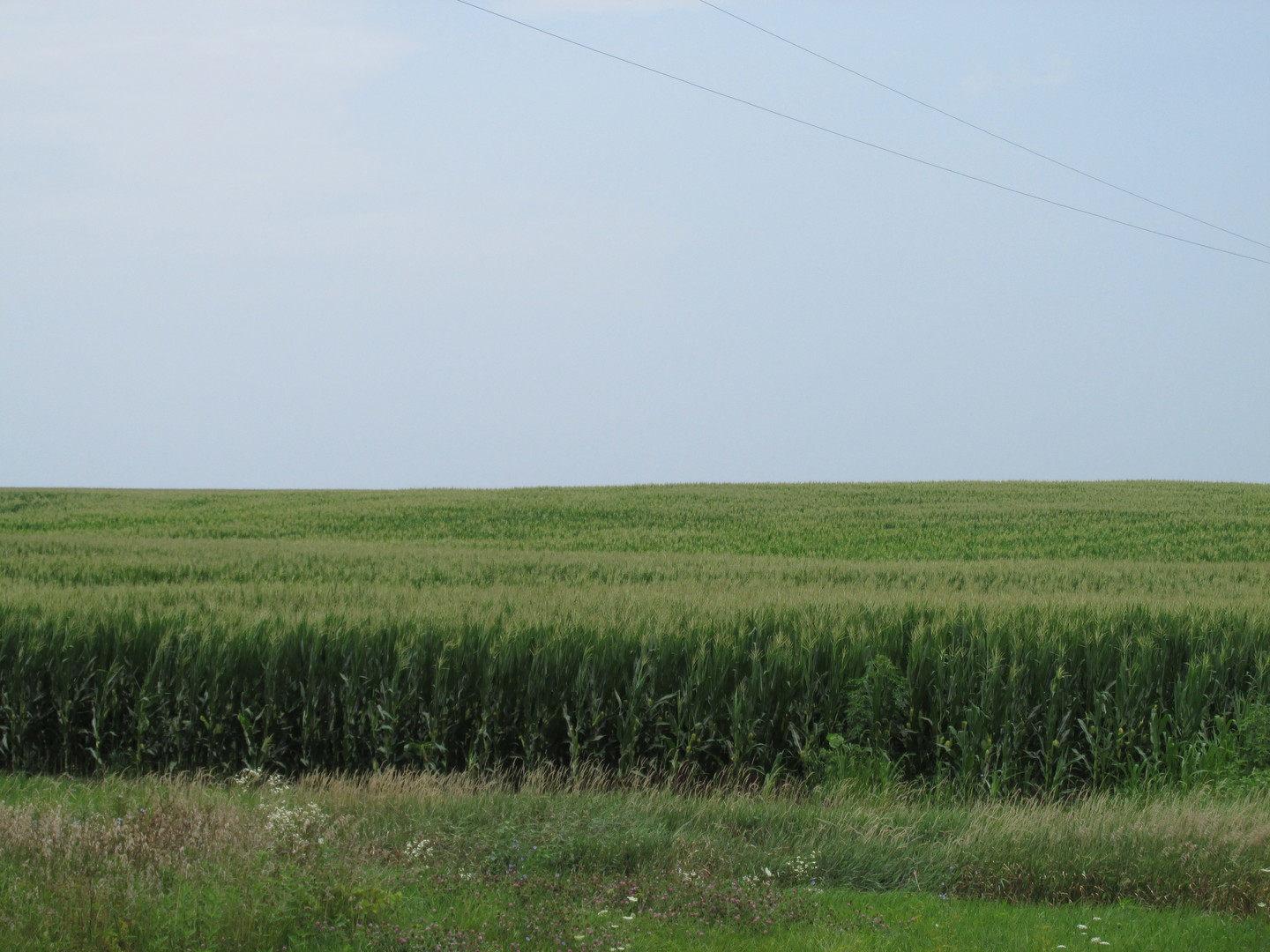 0 Sugar Grove Road Dixon, IL 61021 - Photo 7 of 15