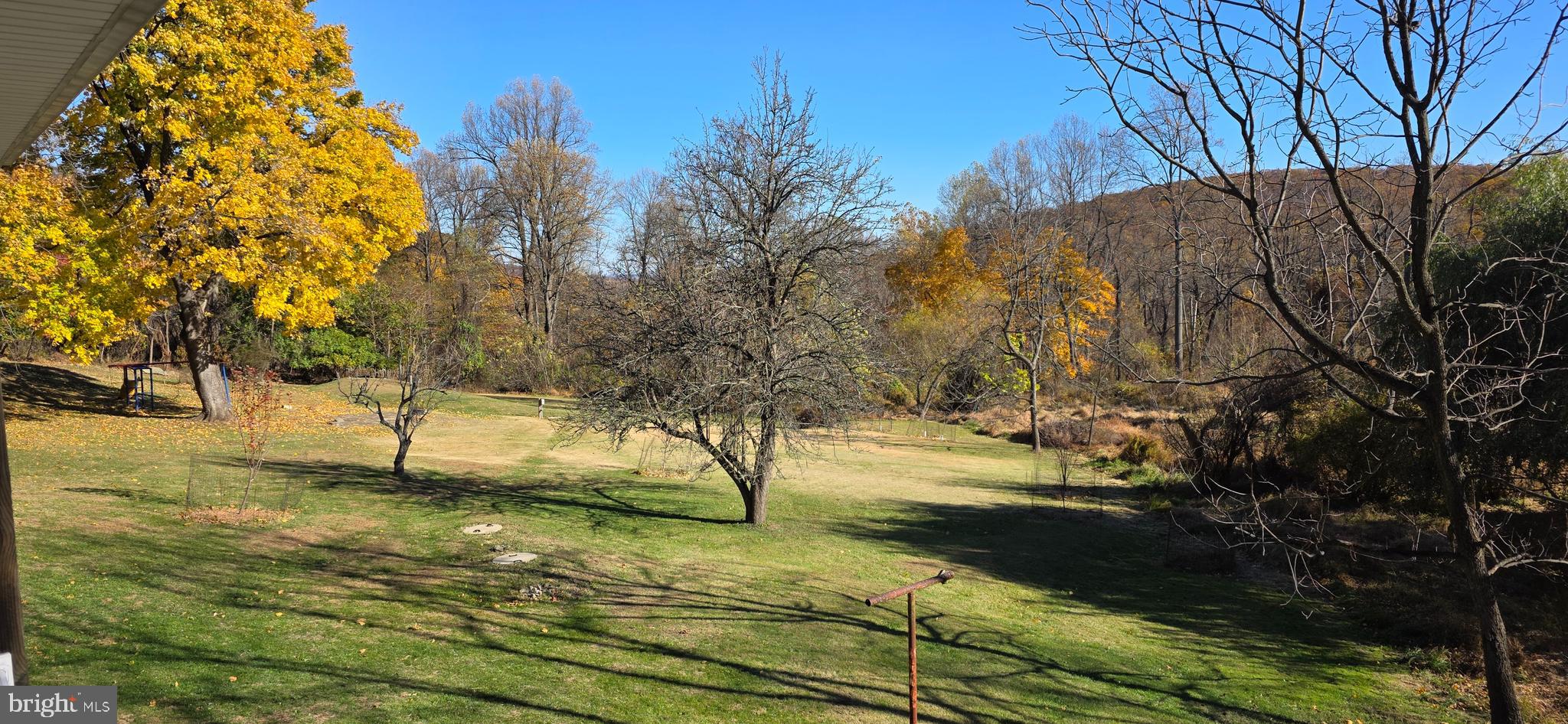 13608 Maryland Avenue Blue Ridge Summit, PA 17214 - Photo 57 of 80 a view of yard