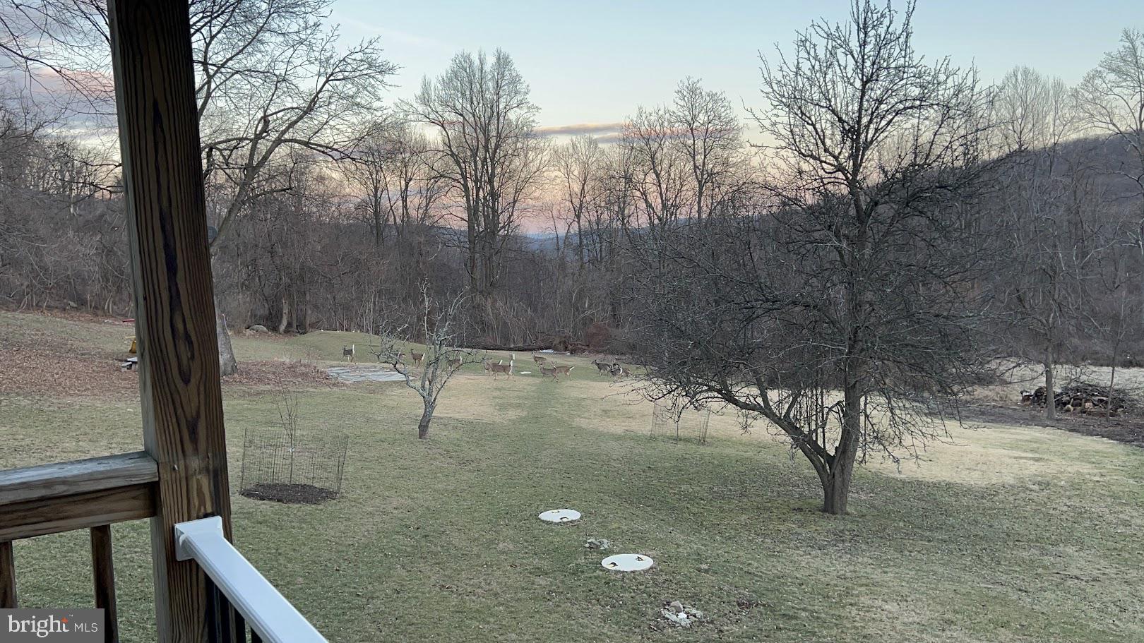 13608 Maryland Avenue Blue Ridge Summit, PA 17214 - Photo 58 of 80 a view of a outdoor space