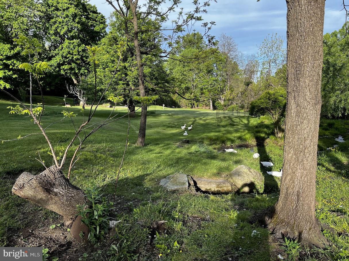 13608 Maryland Avenue Blue Ridge Summit, PA 17214 - Photo 62 of 80 a large green field with lots of trees