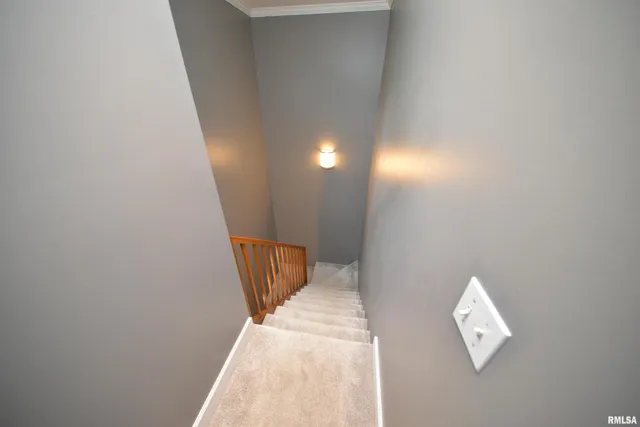 $469,000 | 15821 North Tolle Lane, Mount Vernon, IL 62864