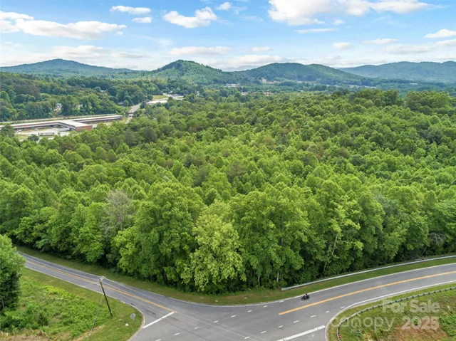 a view of a green field with lots of bushes