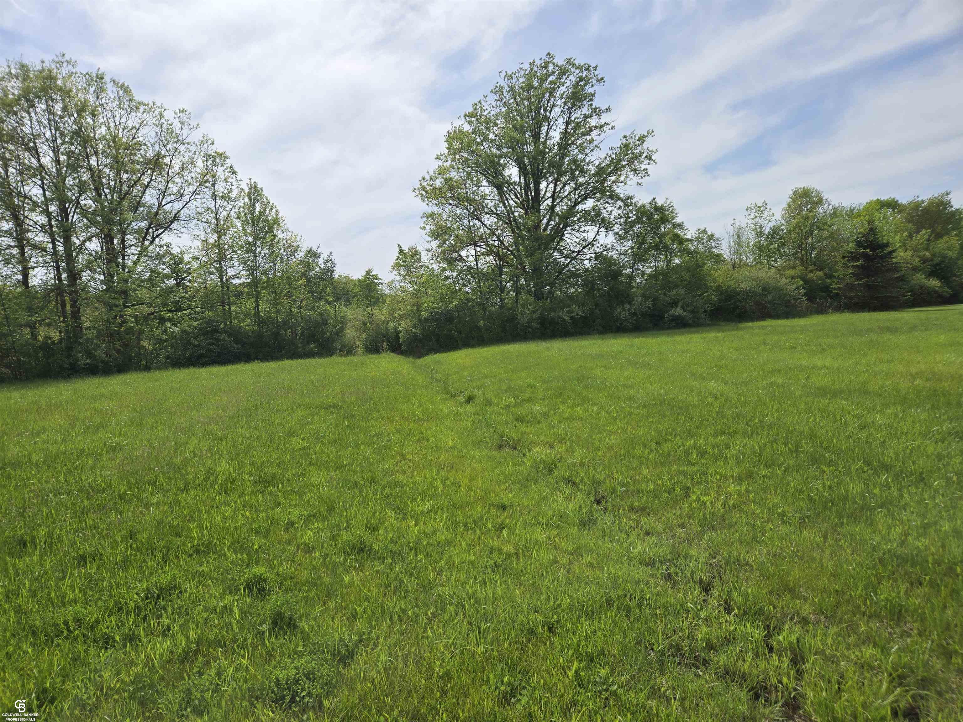 4179 Kilgore Road Avoca, MI 48006 - Photo 4 of 23