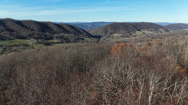 a view of a bunch of trees in a field
