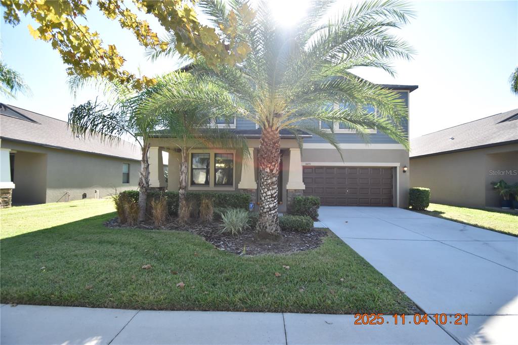 14051 Tropical Kingbird Way Riverview, FL 33579 - Photo 1 of 84