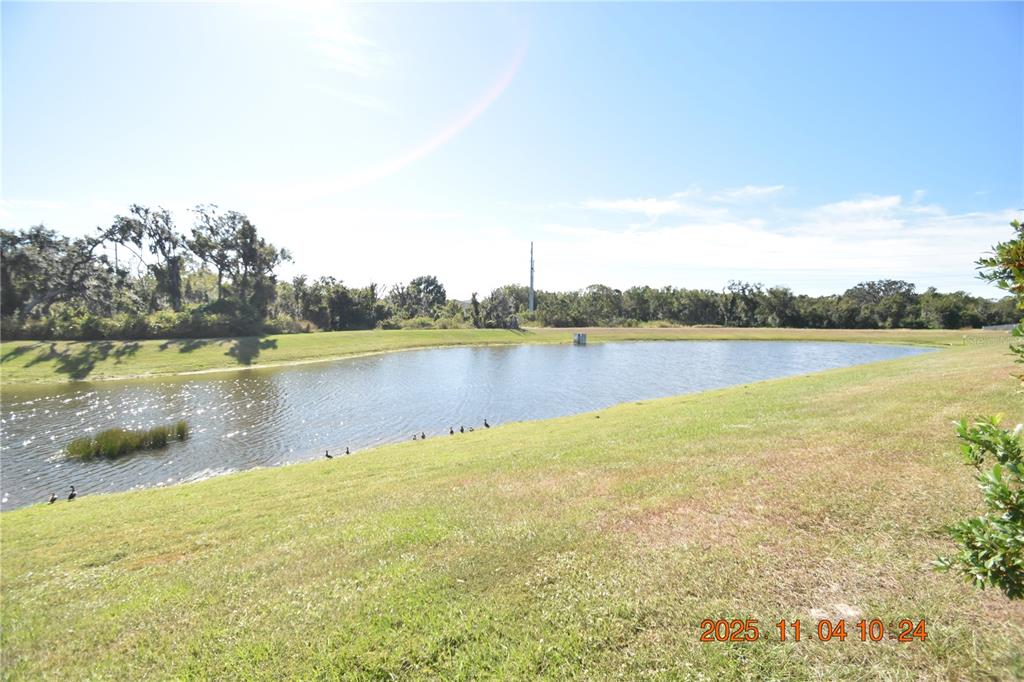 14051 Tropical Kingbird Way Riverview, FL 33579 - Photo 6 of 84