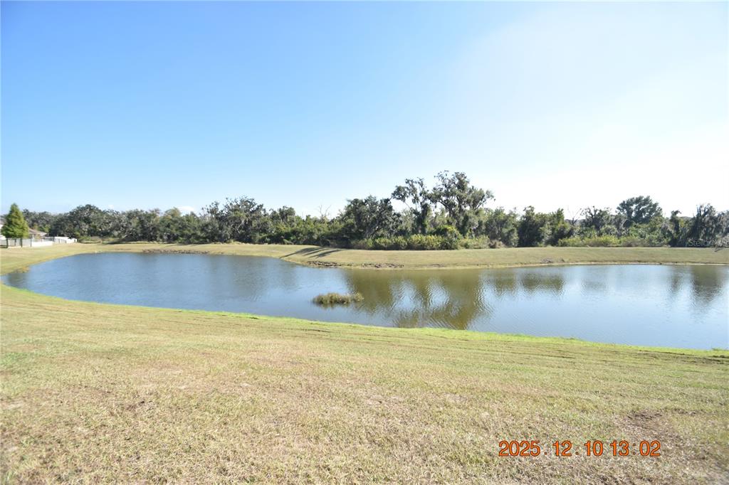 14051 Tropical Kingbird Way Riverview, FL 33579 - Photo 80 of 84