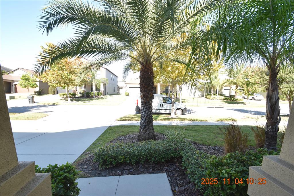 14051 Tropical Kingbird Way Riverview, FL 33579 - Photo 9 of 84
