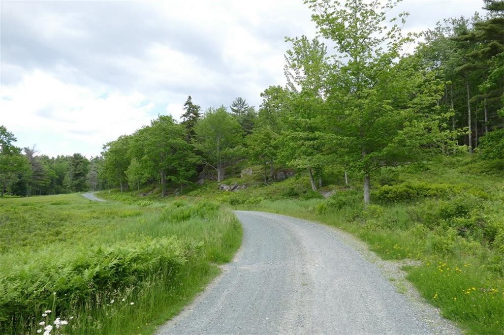 0 Oak Grove Road Mount Desert, ME 04660 - Photo 7 of 10 Photo