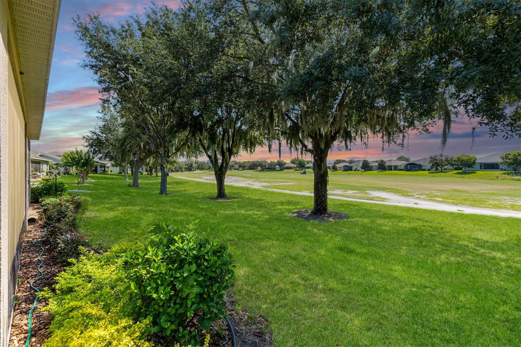 4110 Arlington Ridge Boulevard Leesburg, FL 34748 - Photo 35 of 57