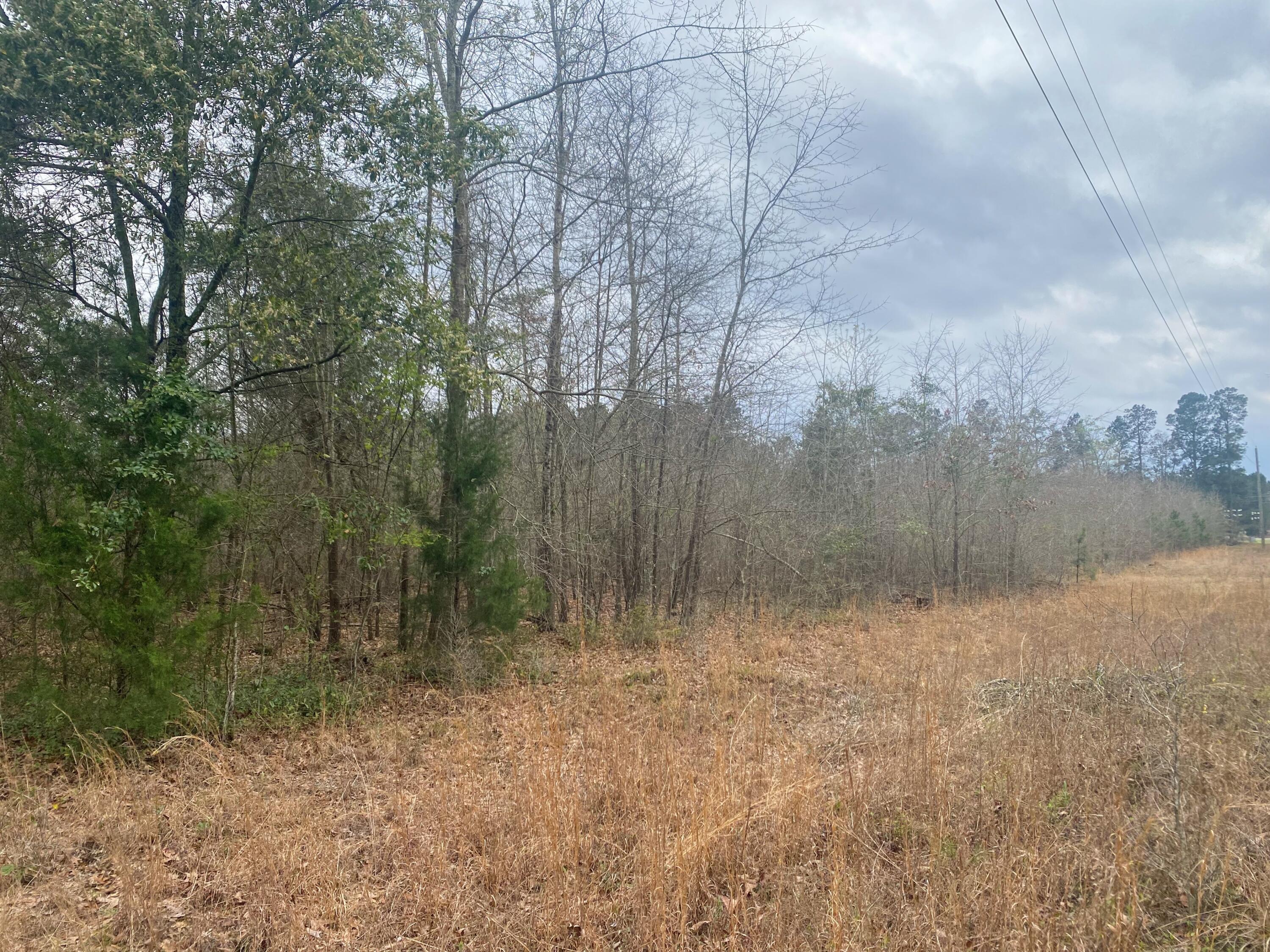 1 Salley Road North, SC 29112 - Photo 6 of 7