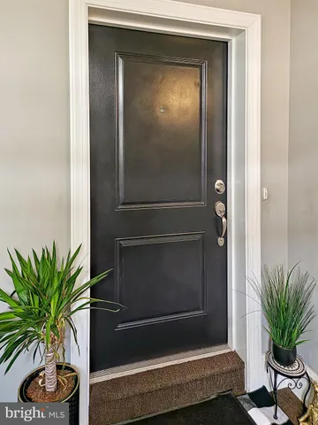 a potted plant sitting in front of a door