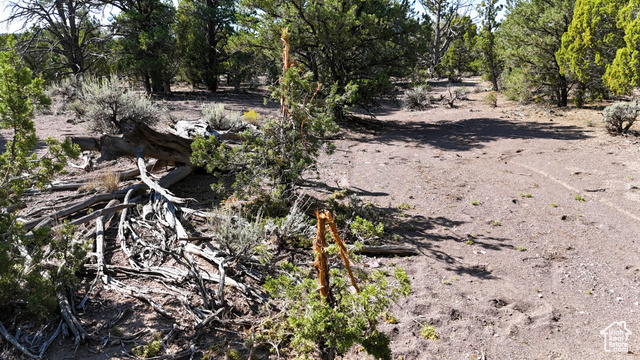 123 Tbd Prout Wash Road North Cedar City, UT 84721 - Photo 61 of 82