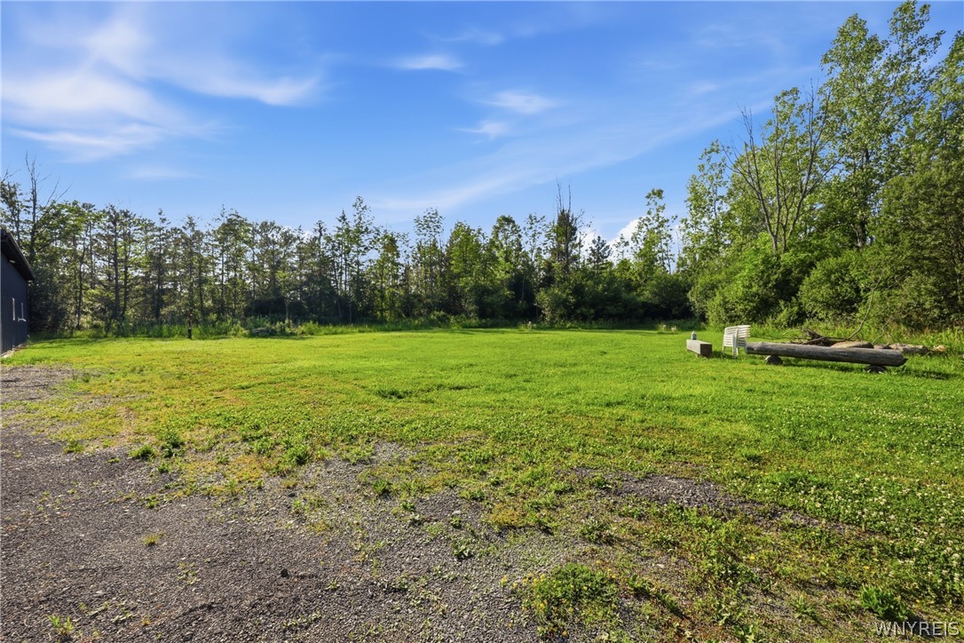 7041 Clinton Street, Unit 1 Elma, NY 14059 - Photo 38 of 43