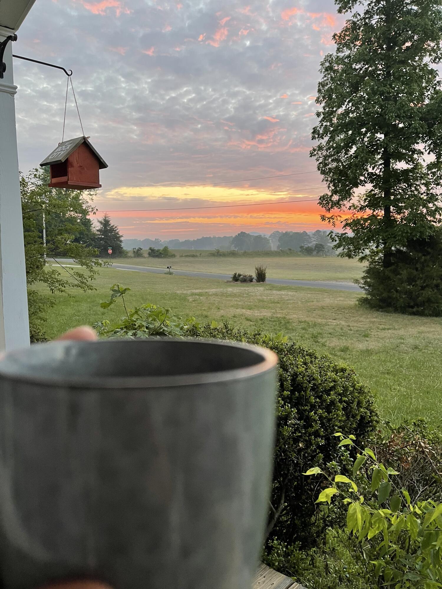 53 Ledford Road Crandall, GA 30711 - Photo 10 of 30 sunrise