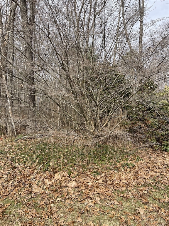 280 Ware Road Belchertown, MA 01007 - Photo 17 of 19