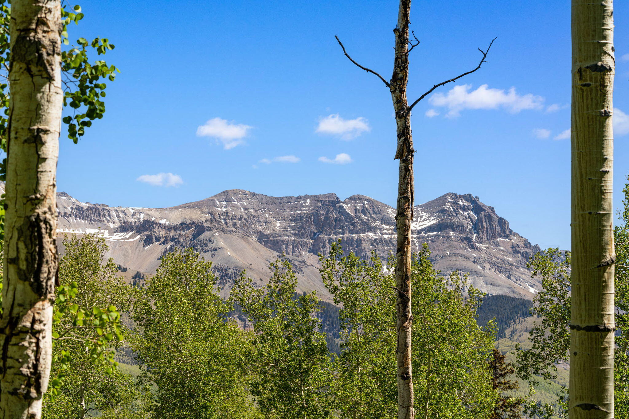 Tbd Wapiti Road Telluride, CO 81435 - Photo 2 of 20 Wapiti Lot 37