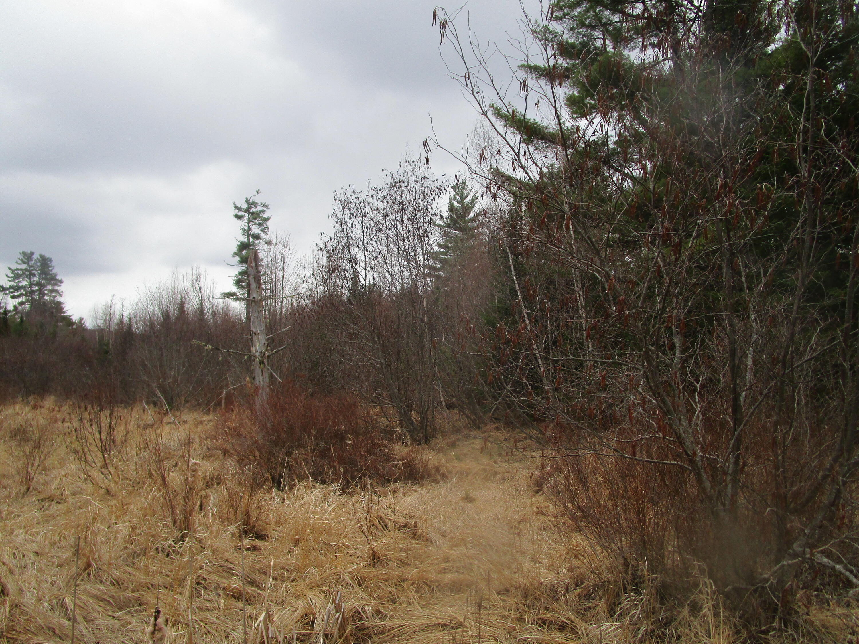180 Rebel Hill Road Clifton, ME 04428 - Photo 9 of 9