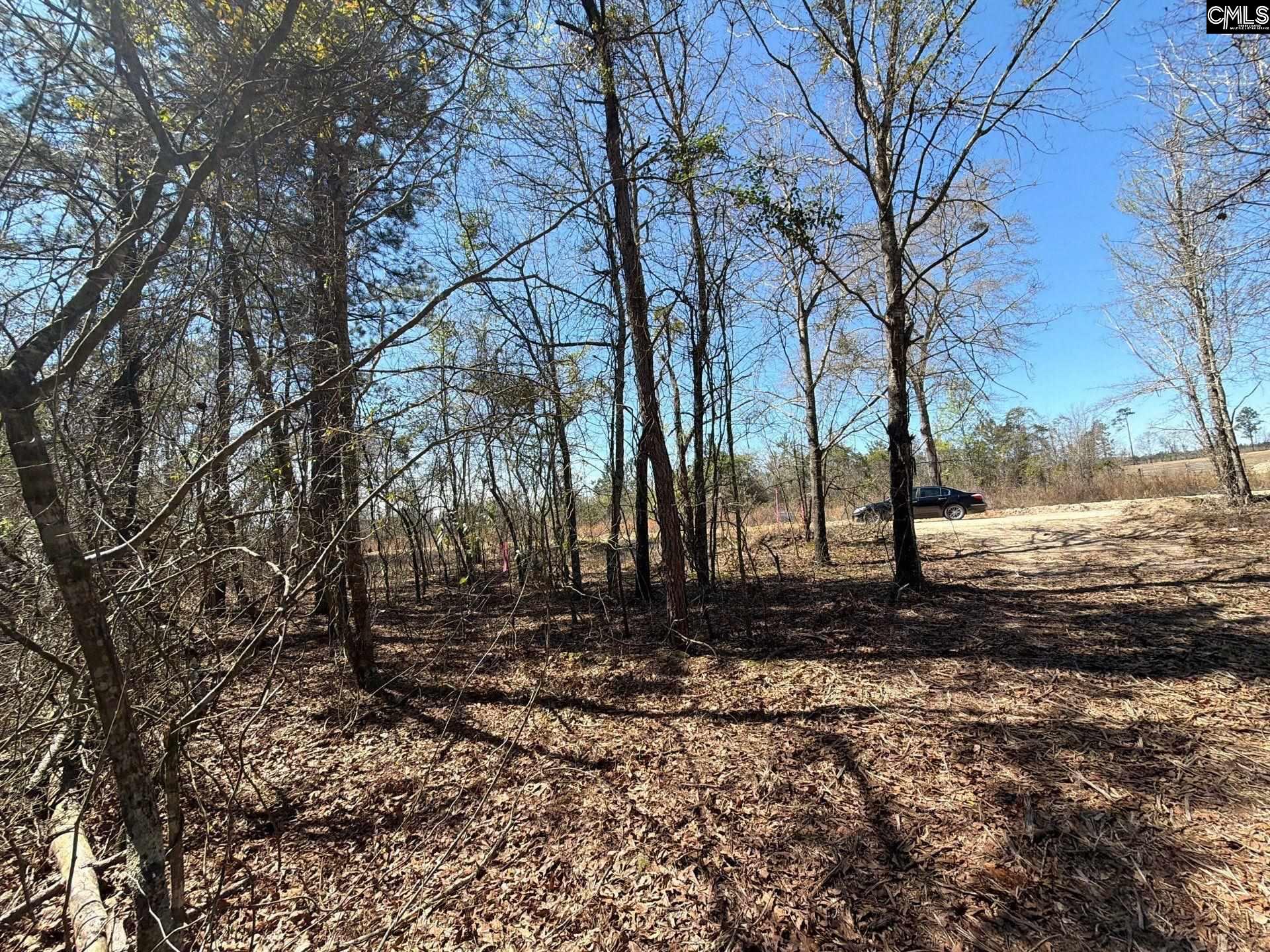 9 Boise Cascade Road, Unit BHL 9 Bethune, SC 29009 - Photo 41 of 44