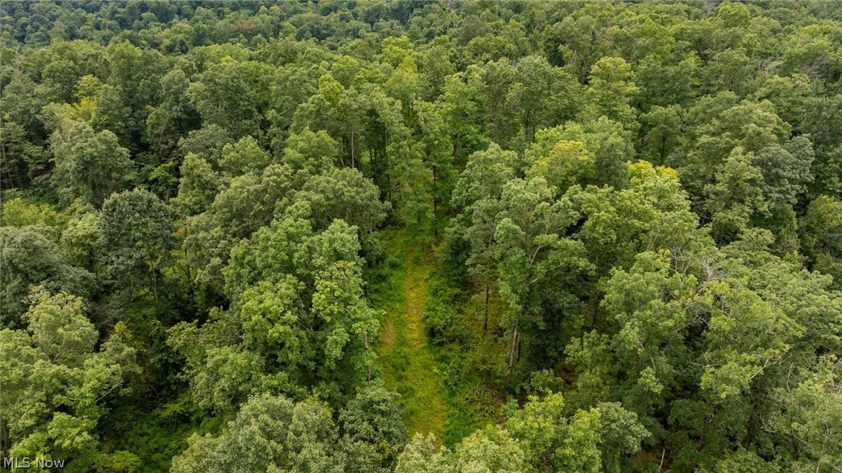 0 Bald Knob-Stiversville Road Portland, OH 45770 - Photo 12 of 20 Gallery Image 12