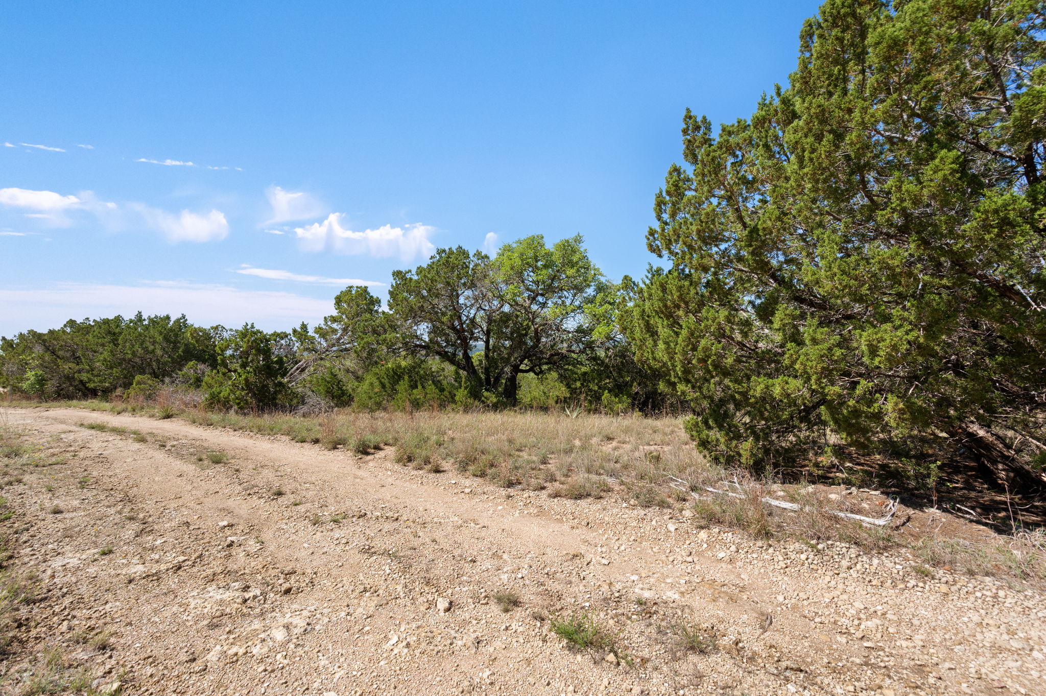 28809 Rim Rock Road Marble Falls, TX 78654 - Photo 8 of 10