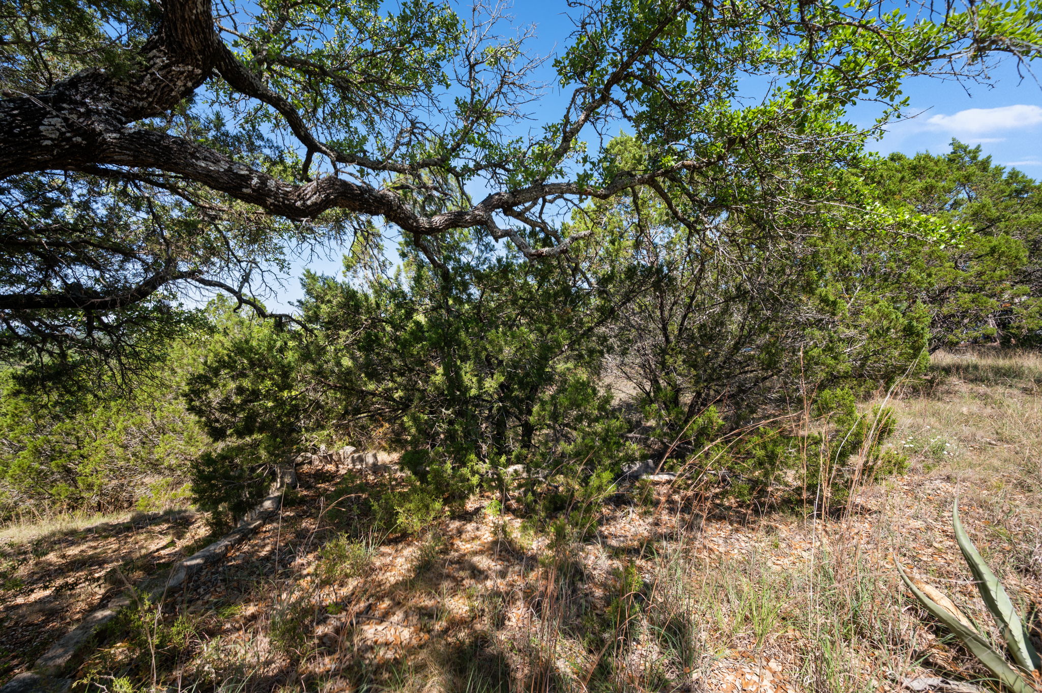 28809 Rim Rock Road Marble Falls, TX 78654 - Photo 9 of 10