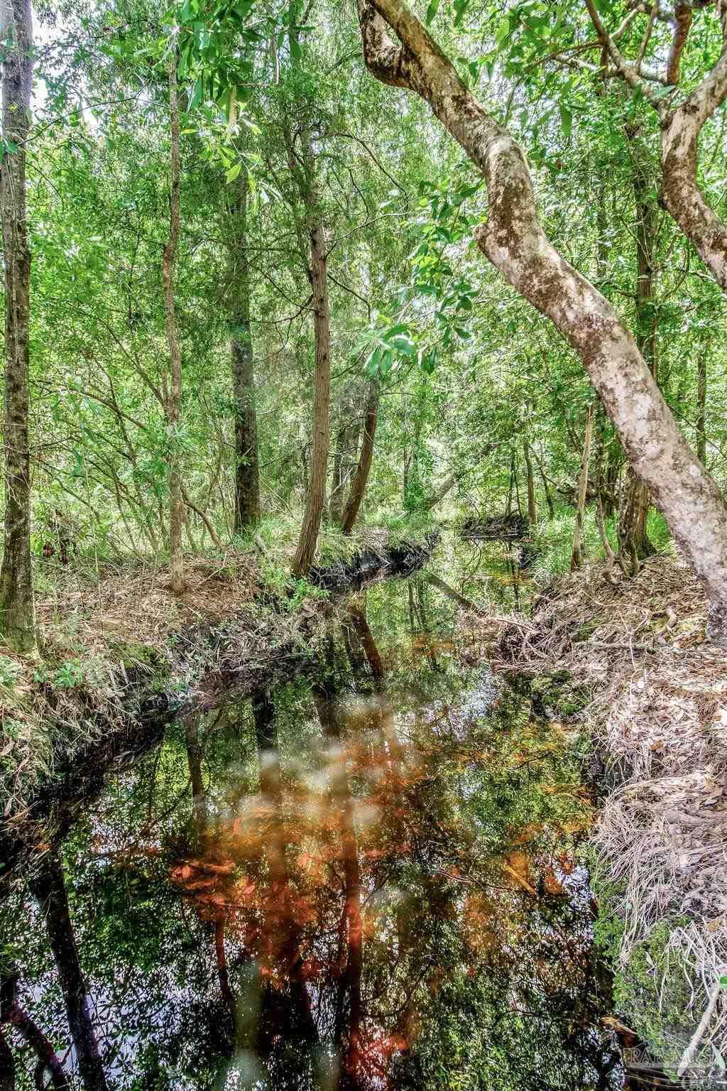 4664 Kolb Road Milton, FL 32570 - Photo 14 of 20 a backyard of a house with lots of green space
