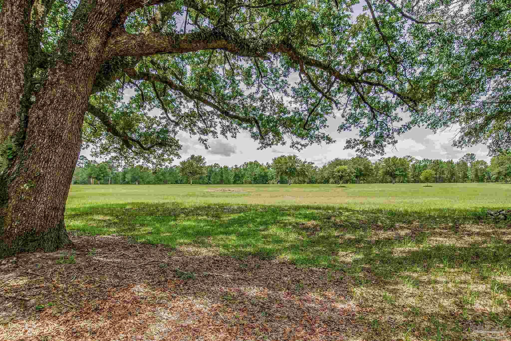 4664 Kolb Road Milton, FL 32570 - Photo 7 of 20 a view of a garden with large trees