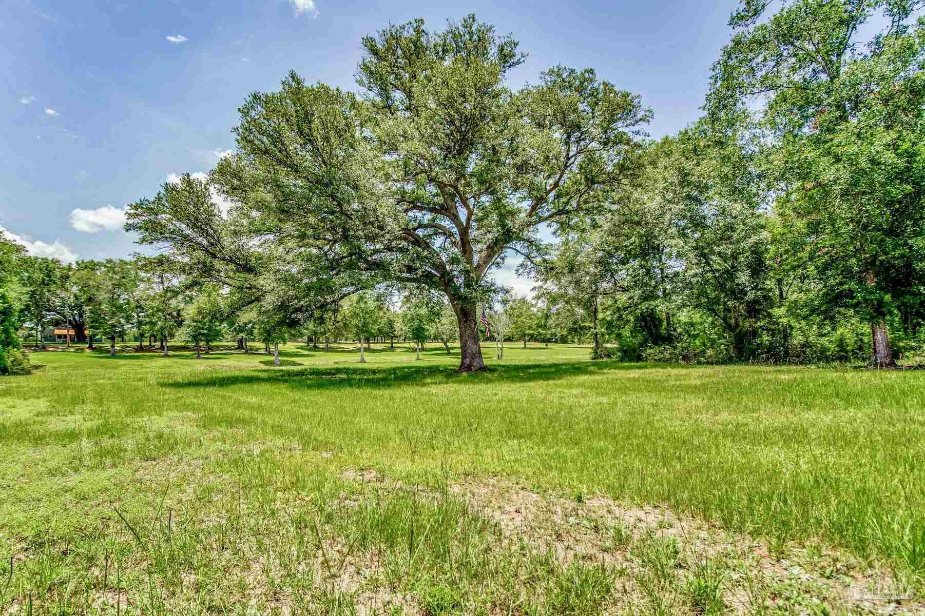 4664 Kolb Road Milton, FL 32570 - Photo 8 of 20 a view of a grassy field with trees