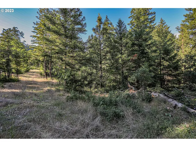 a view of a yard with a tree