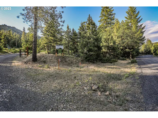 a black and white photo of a house