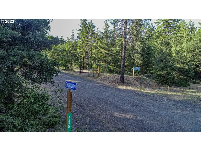 a open area with trees in the background