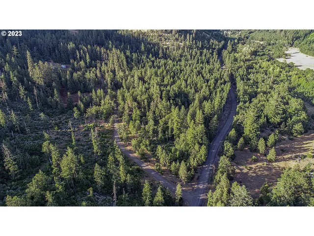a open area with green field