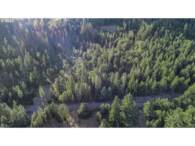 a black and white photo of a house