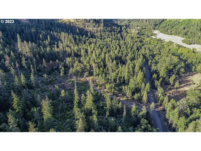 a black and white photo of a park