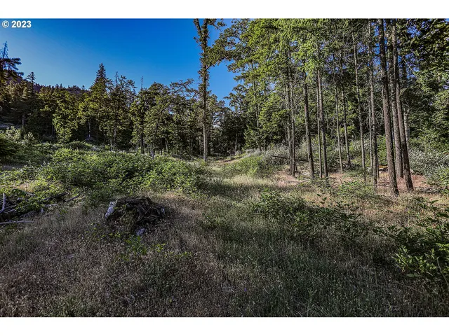 a big yard with lots of green space