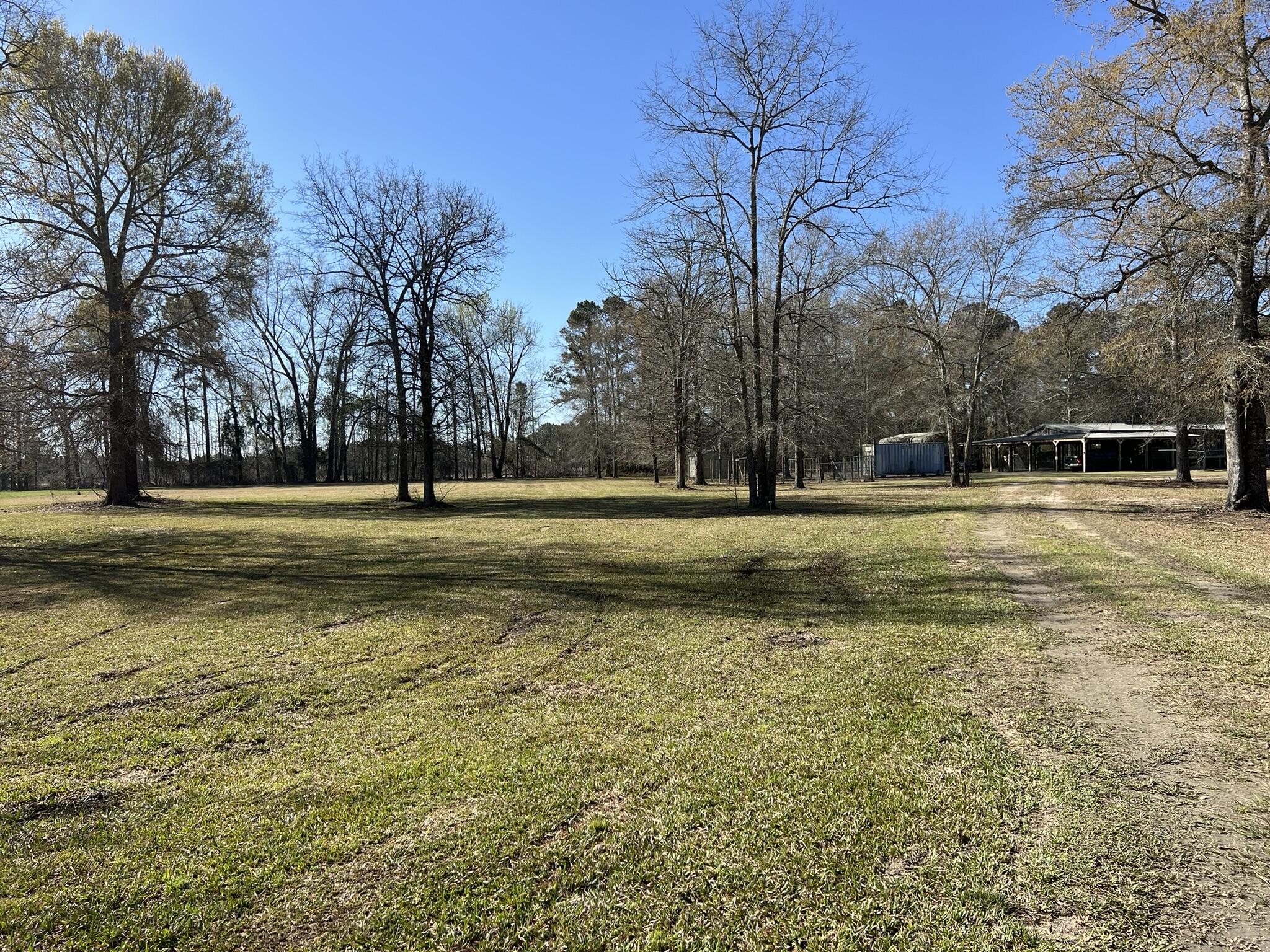 1790 Strickland Road Manning, SC 29102 - Photo 39 of 39 driveway 2