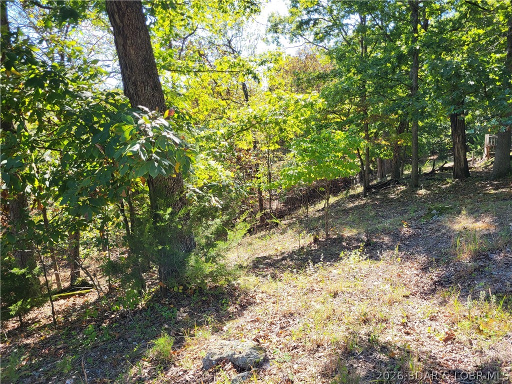 32534 Compromise Road Gravois Mills, MO 65037 - Photo 10 of 12