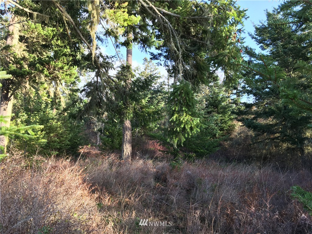162 Red Cedar Road Lopez Island, WA 98261 - Photo 22 of 25 Gallery Image 22