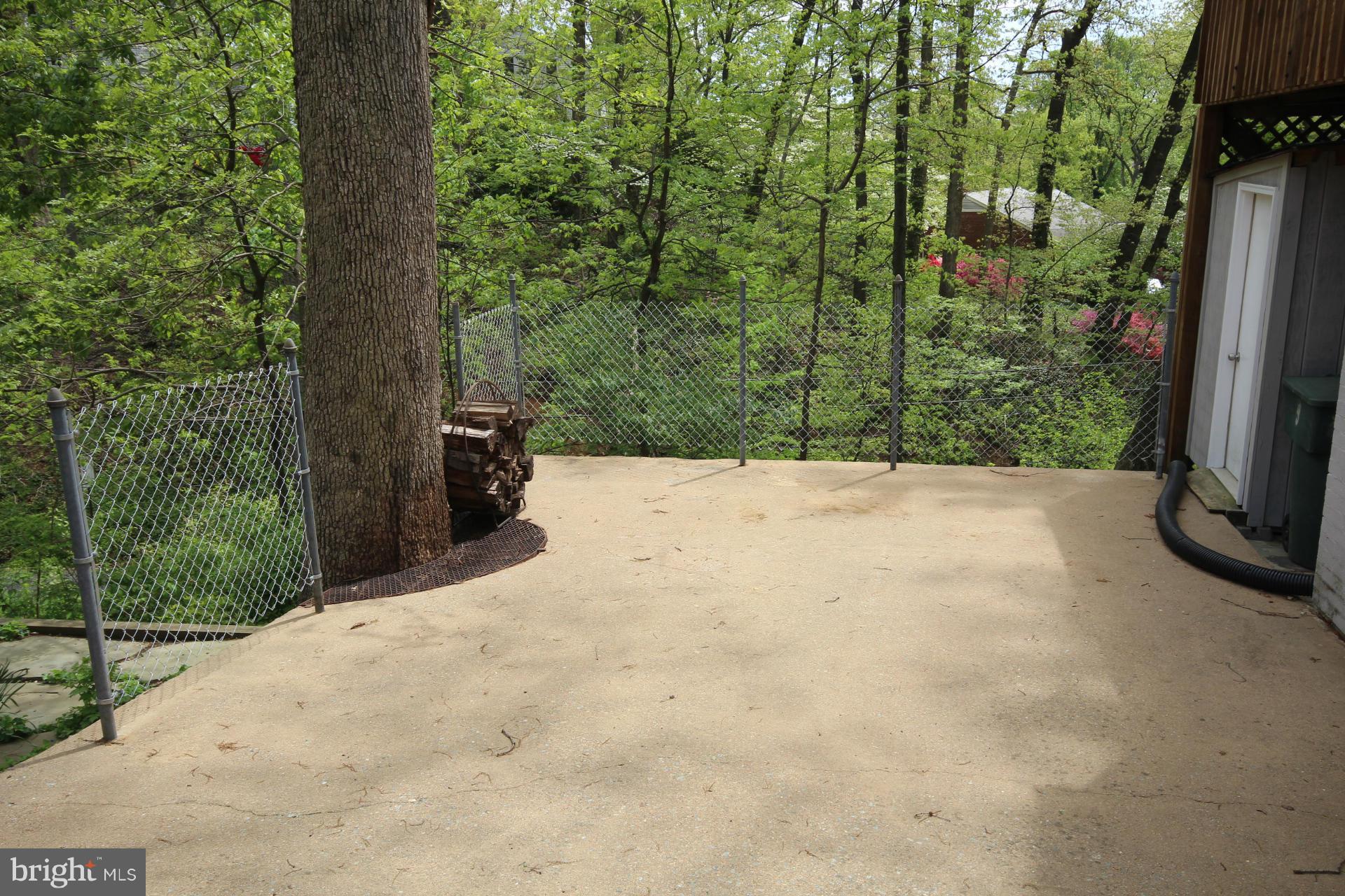 3207 Circle Hill Road Alexandria, VA 22305 - Photo 2 of 51 Exterior (Rear)